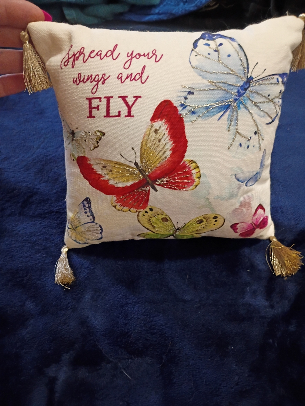 Decorative Butterfly Throw Pillow - 'Spread Your Wings and Fly' in Red & Blue